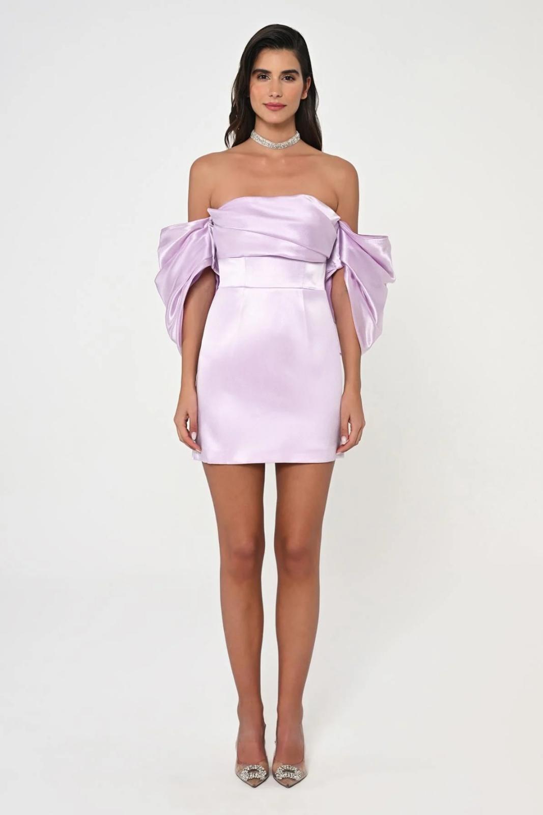 Mini Organza Dress