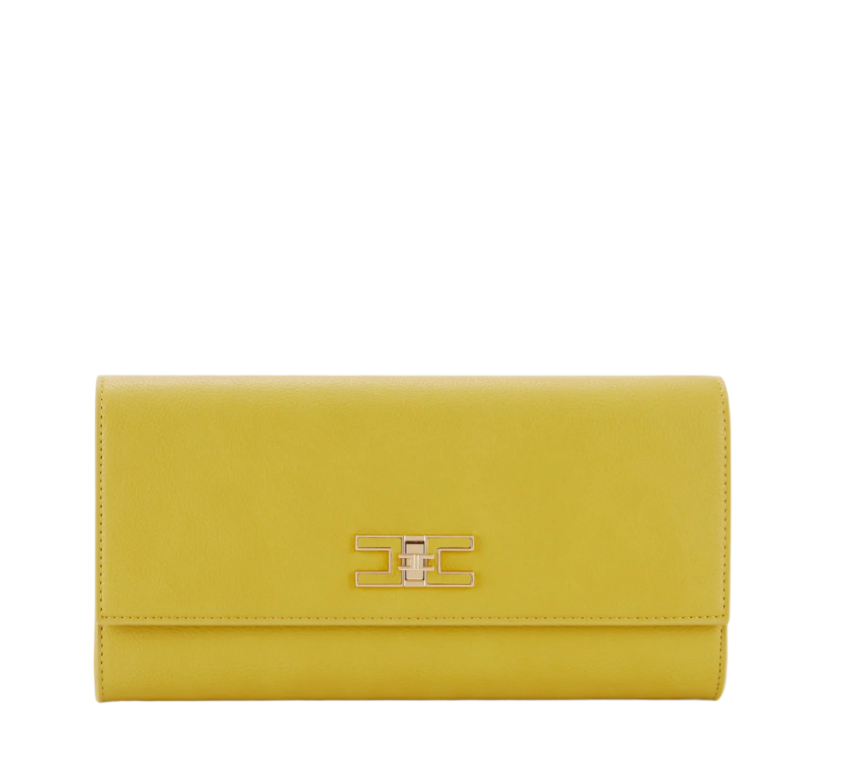 Clutch with Shoulder Strap