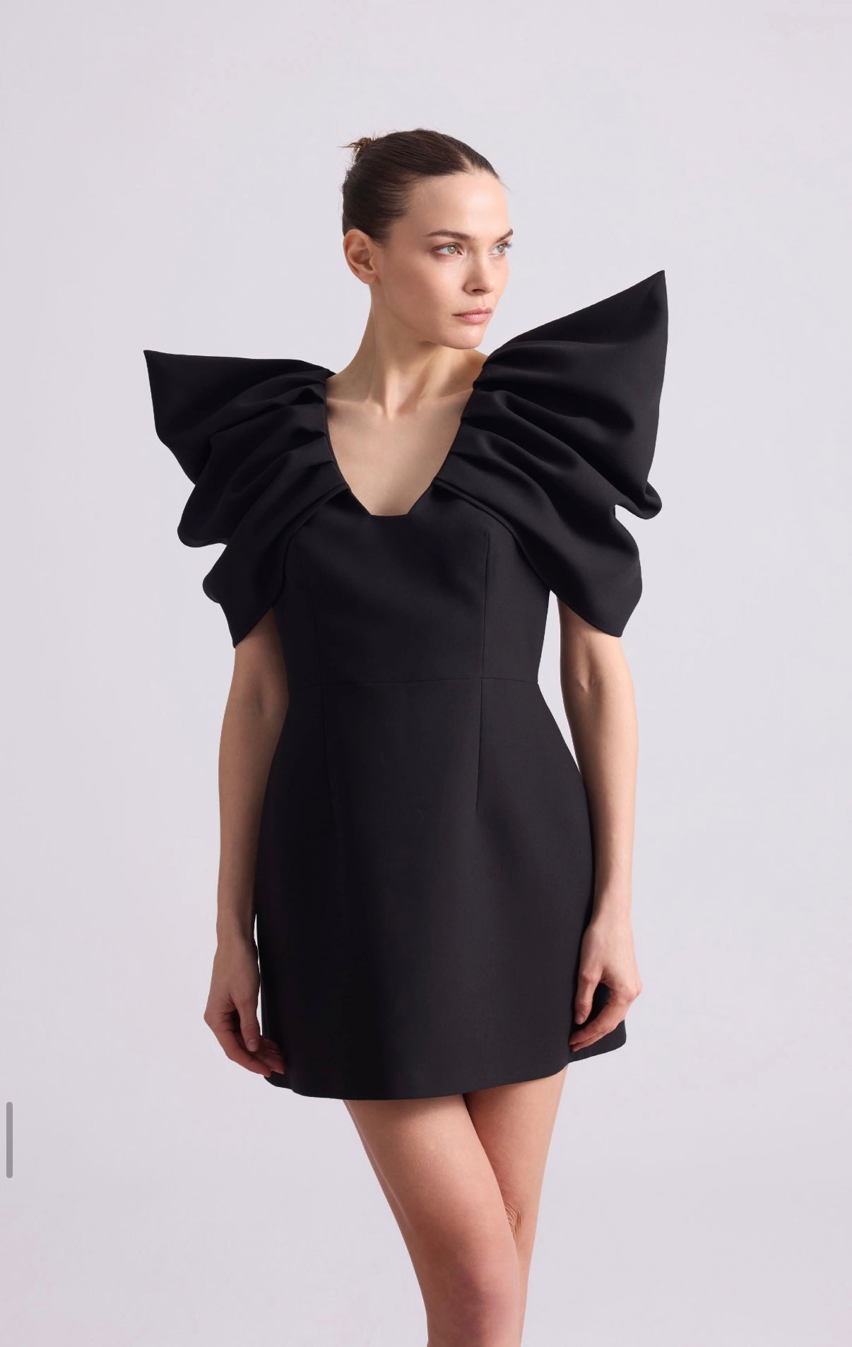 Mini Dress with Chic Sleeves