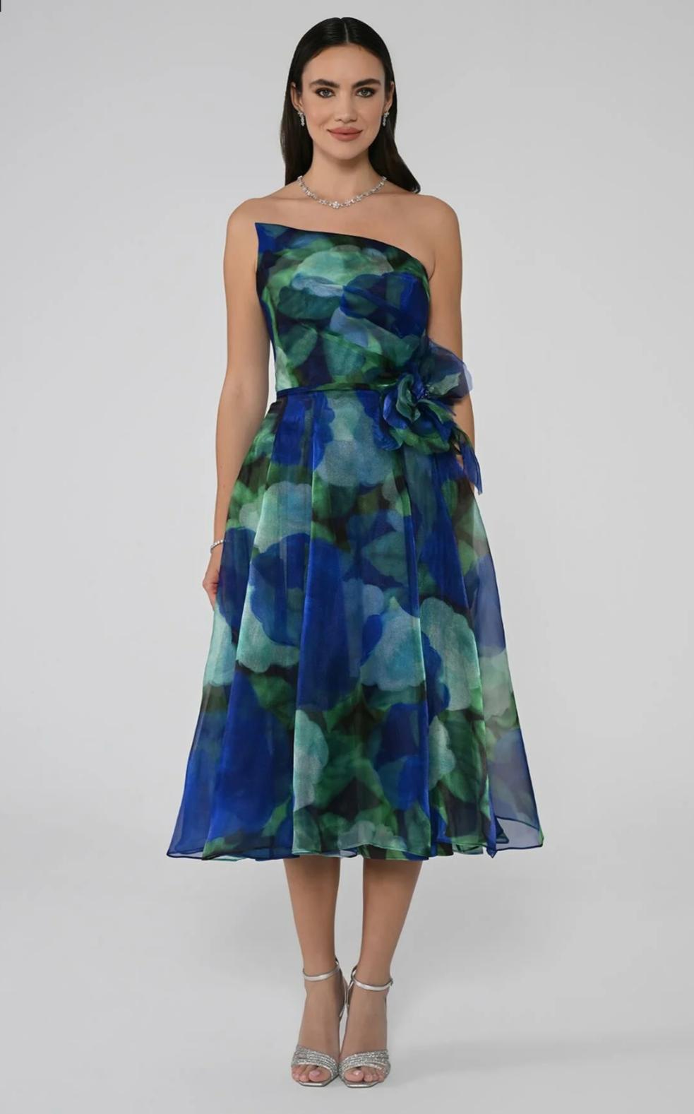 Midi Aquarium Dress