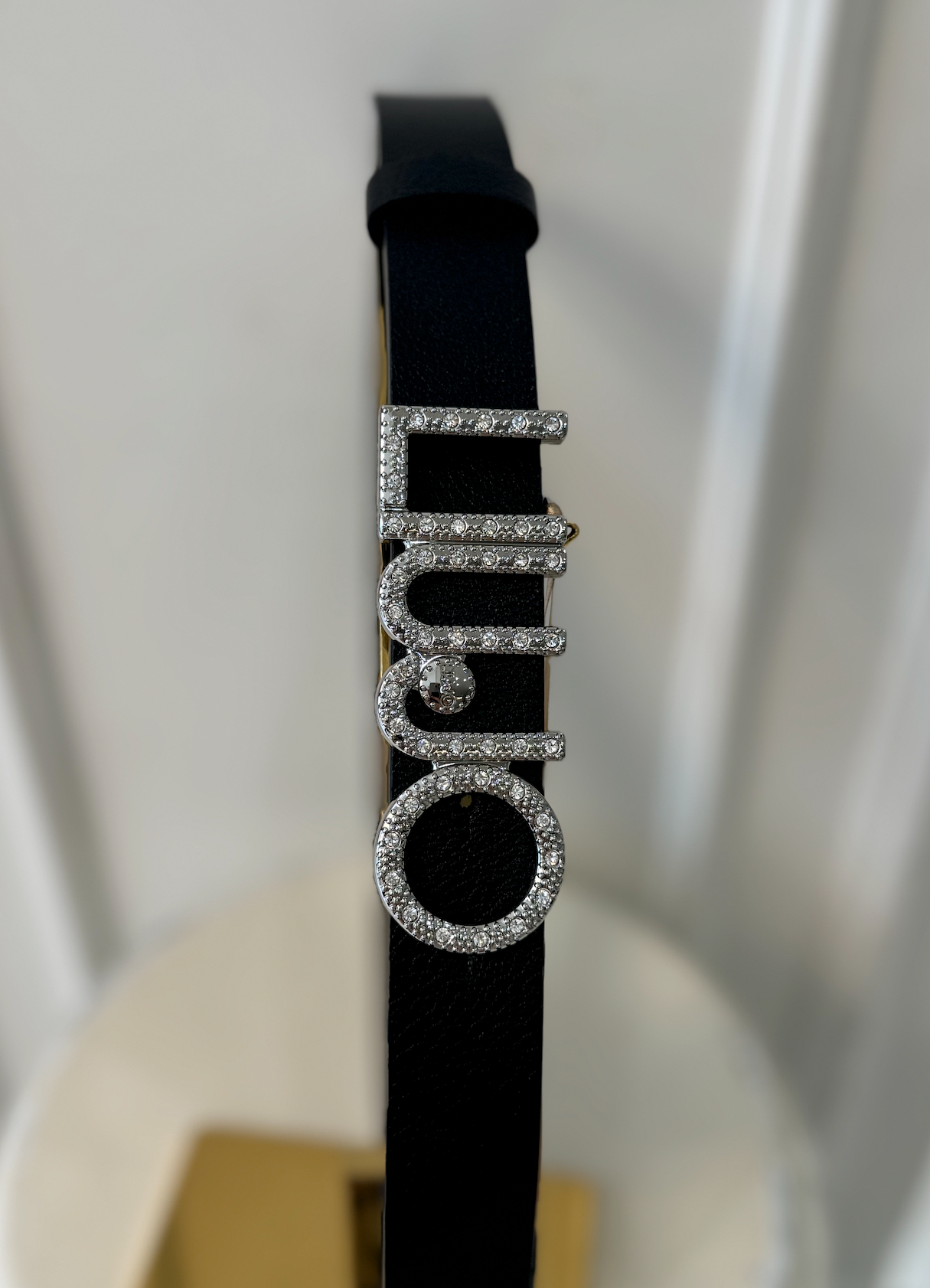 Hips Belt with Logo