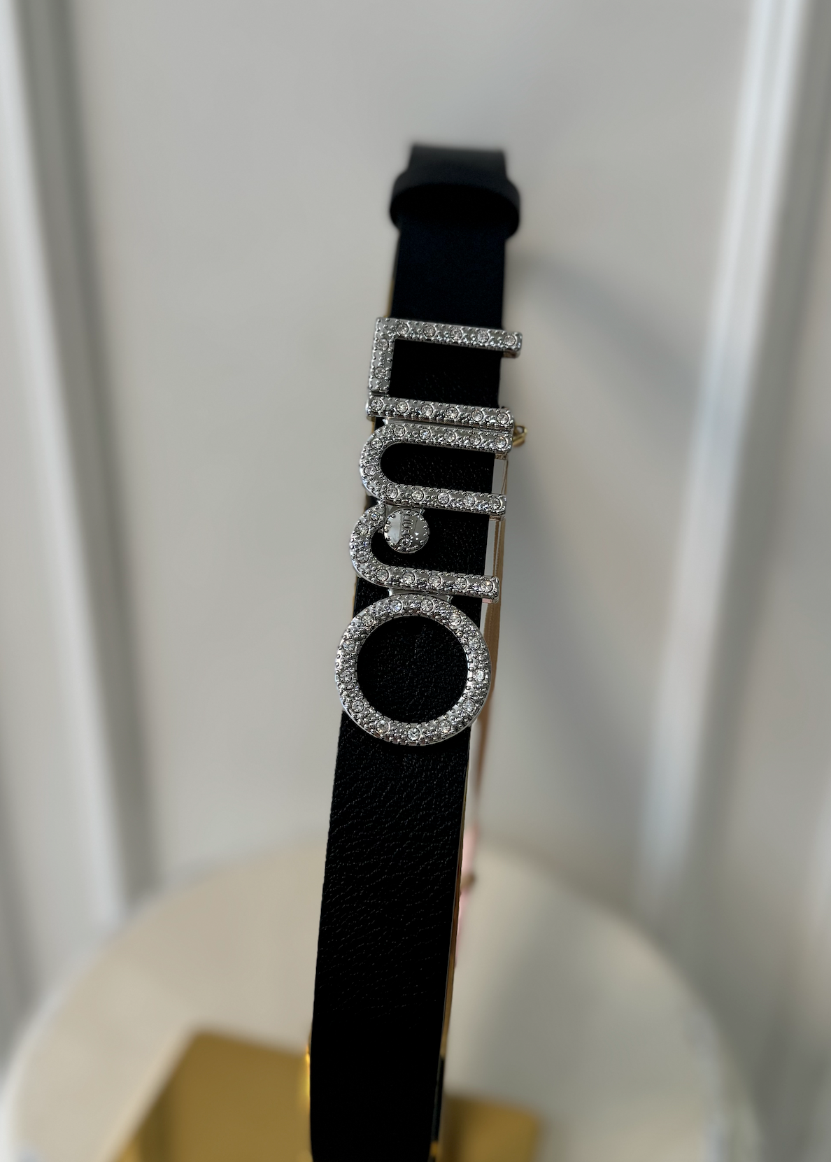 Hips Belt with Logo